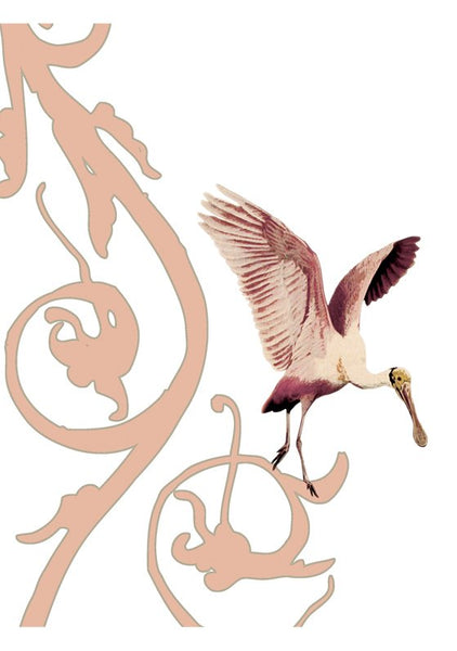 Flamingo Chiroscuro