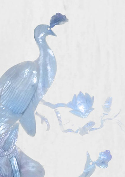 Fabry Perot - Blue