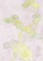 Fabry Perot - Rose