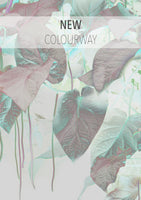 Talbot's Calotype - Mint