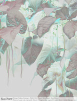 Talbot's Calotype - Mint
