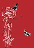 Red Poppy