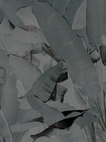 Tektura-Banana Leaf