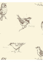 Blackcap