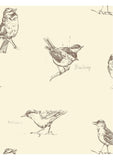 Blackcap