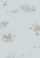 Smudges