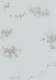 Smudges