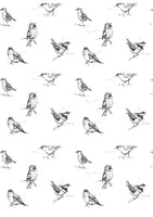 Blackcap