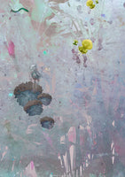 Birte-Project