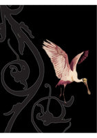 Flamingo Chiroscuro