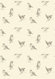 Blackcap