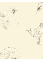 Dipper