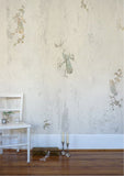 Fiona Gall-Project