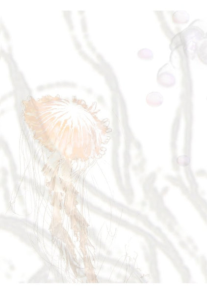Anemone