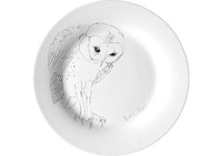 Barn Owl-Dinner