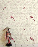 Sally Dernie-Project