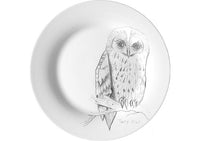 Tawny Owl-Dinner