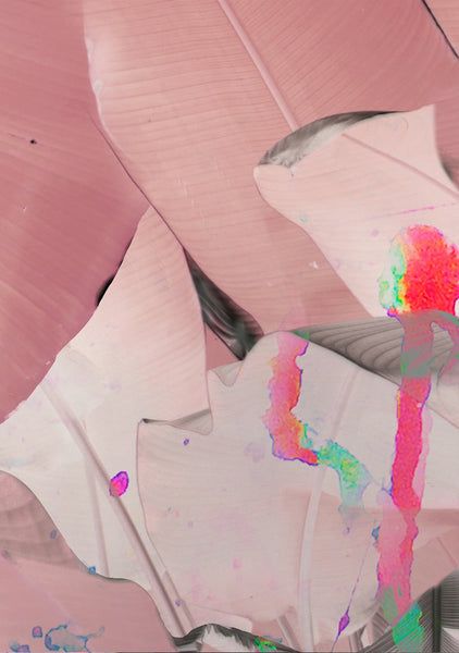 Wise Pond-A Frog Jumps - Pink