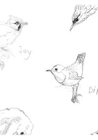 Dipper