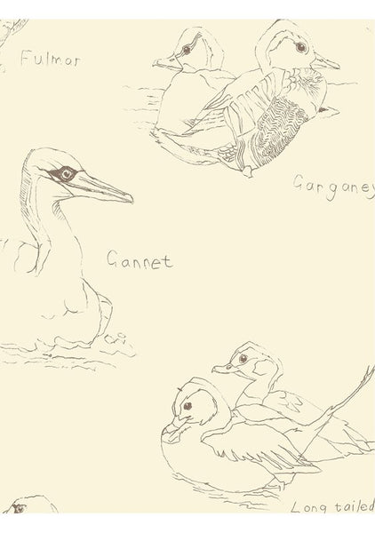 Gannet