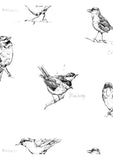 Blackcap