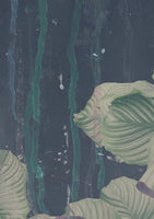 Issey-Nymph of the w...