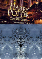 Harry Potter - NY