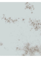Smudges