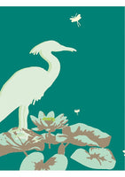 Heron Island