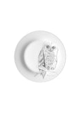 Tawny Owl-Side