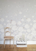 DAD Showroom-Project