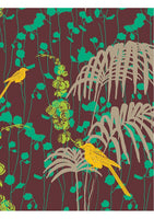 Bebe Palm