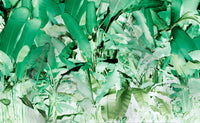 Wise Pond-A Frog Jumps - Green