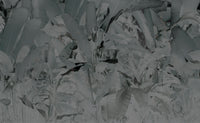 Wise Pond-A Frog Jumps - Gray