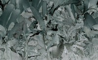 Wise Pond-A Frog Jumps - Teal