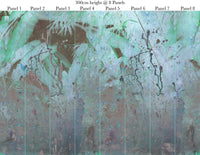Wise pond-A frog jumps