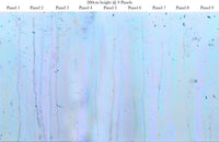 Sorbet Drizzle - Blue