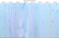 Sorbet Drizzle - Blue