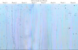 Sorbet Drizzle - Blue