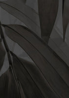 Bamboo Breeze - Black