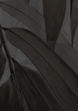 Bamboo Breeze - Black