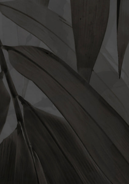 Bamboo Breeze - Black