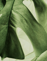 Dusk-The Sound of Water - Green