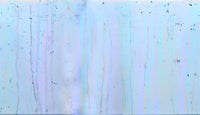 Sorbet Drizzle - Blue